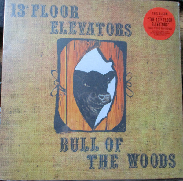 The 13th Floor Elevators - Bull Of The Woods