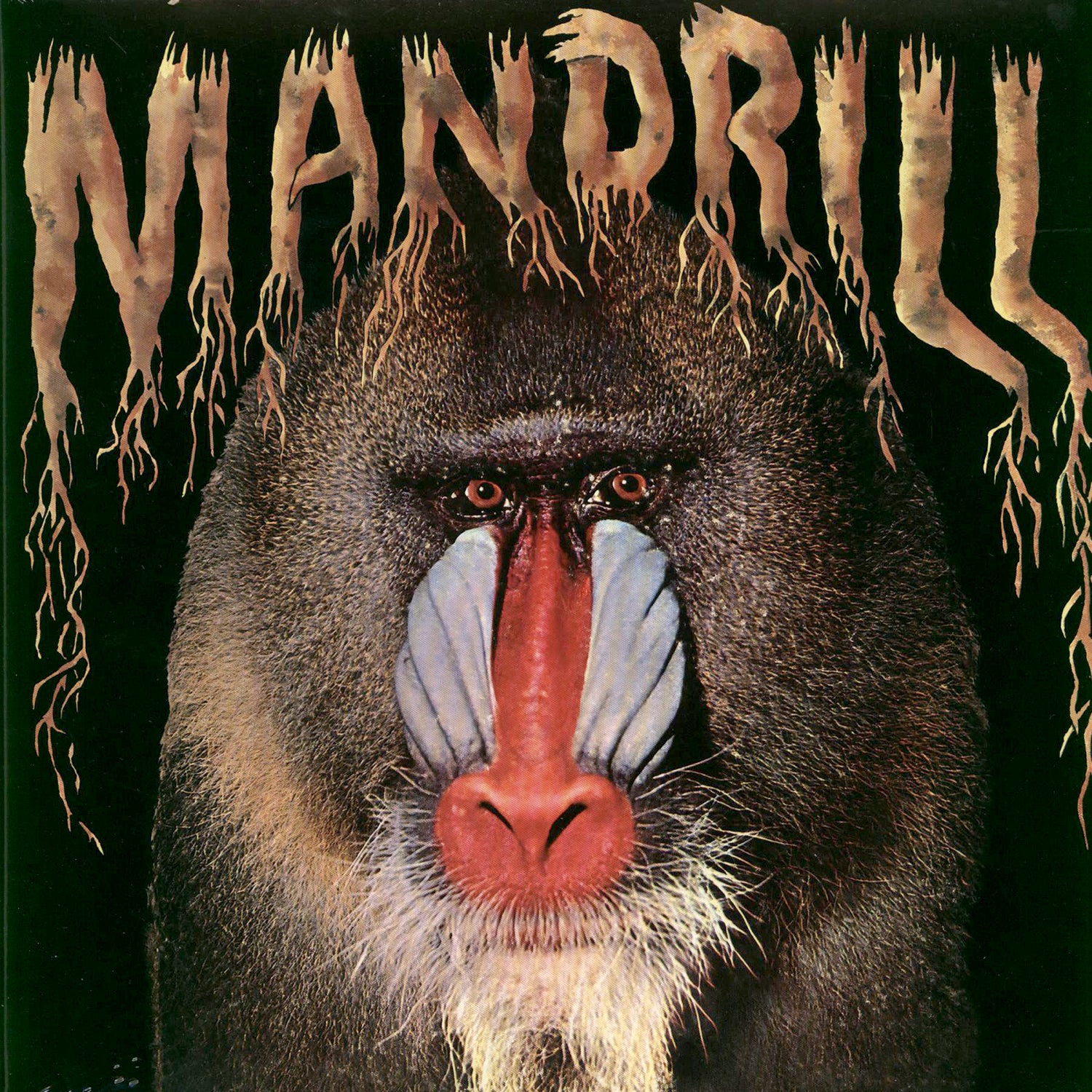 Mandrill - Mandrill