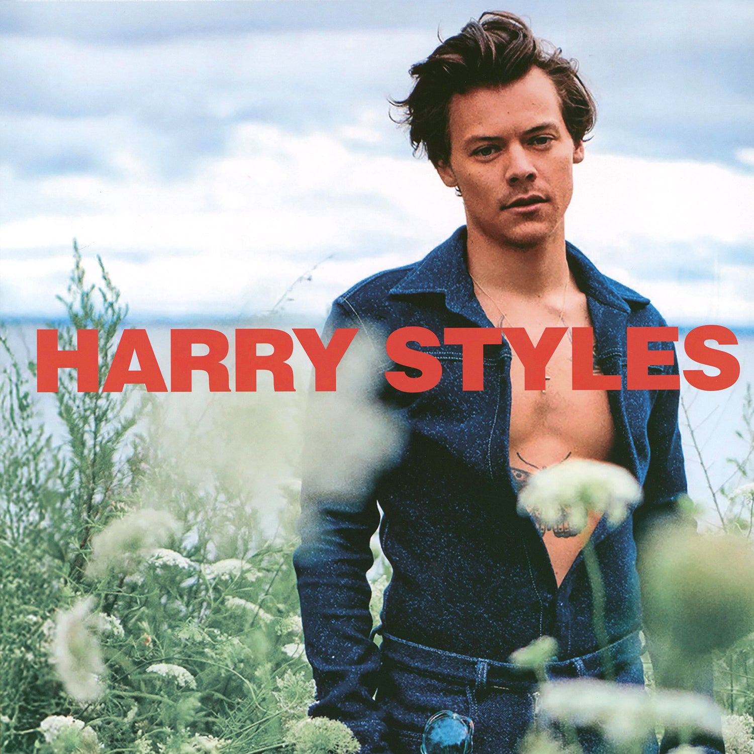 Harry Styles - Country Life
